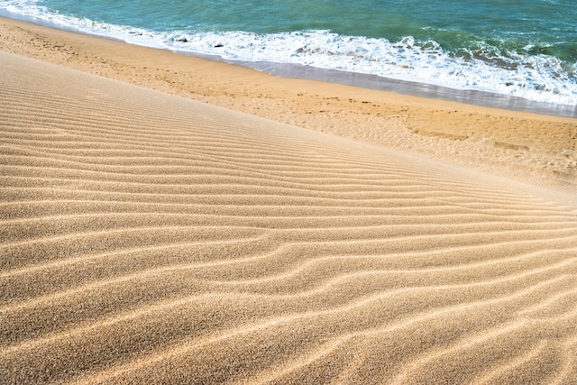 windy beach and dunes