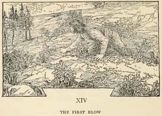 Treasure Island B1 story